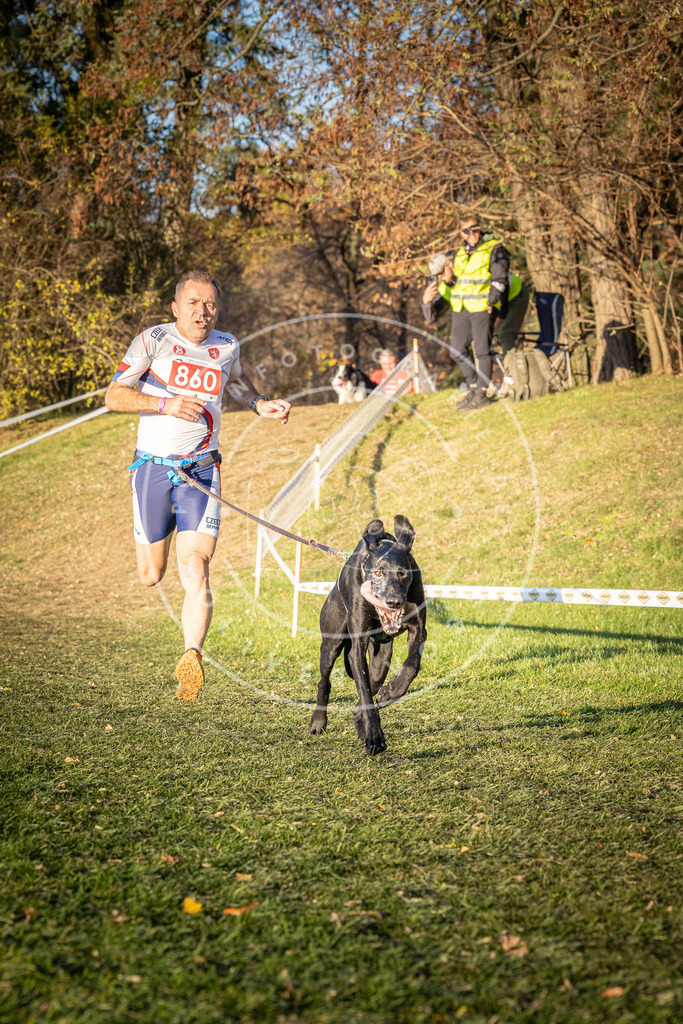 CaniXpix_0L8A0912 | Hundefotografie, Tierfotograf, Pfotenfotografie, Fotoshooting Hund, Hunde Portrait, Hundesport, Hundeportraits, Heideshooting, Hunde, Sportfotograf, Hundefotograf, Turnierhundsport, THS,  - Realisiert mit Pictrs.com