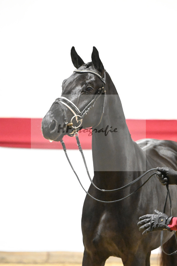 Kat-Nr. 58 v. Donier_Heilemann_63221773 | hf-fotografie - Realizzato con Pictrs.com