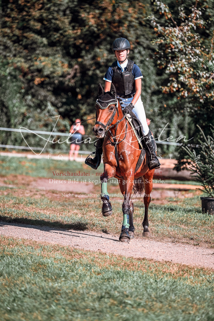 DSC_0978 | Pferde- und Turnierfotografie in Westsachsen. Pferdeportraits, Auftragszeichnungen und intuitive Kunst.