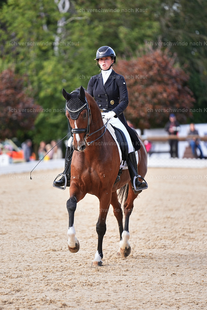 13-048-S___ -Marixx-7056 | working equitationturnier fotograf videograf stoibphotography marixx film working equitation deutschland reitsport turnierfotografie eventfotografie equestrian events