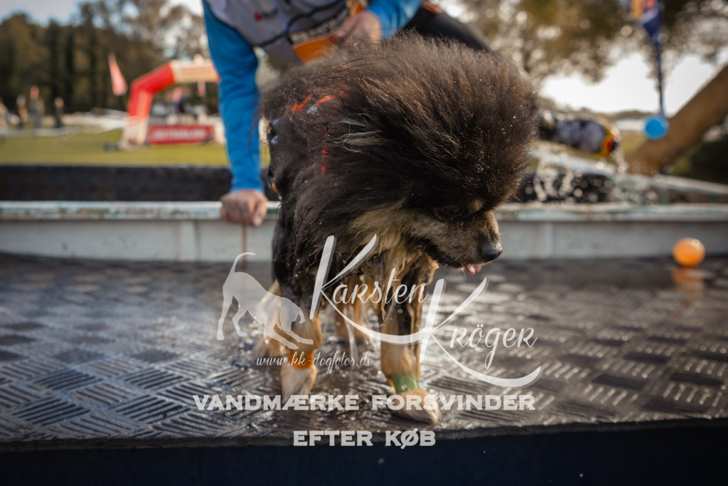1315_ZZ99776-2 | kk-dogfotos