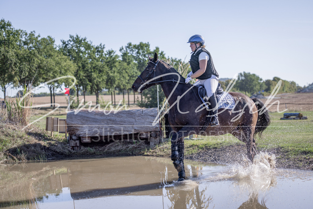 20260906-_3LI1865 | Tierfotografie Pferde, Hunde, Katzen, Haustiere.
Turnierfotografie Reitturniere, Reiten, Springreiten, Dressur in Hanau, dem Main-Kinzig-Kreis und dem Rhein-Main- Gebiet um Frankfurt