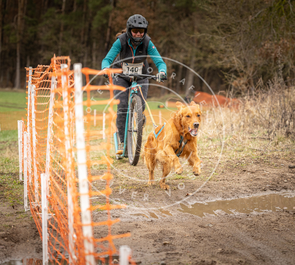 DV3A1582 | Hundefotografie, Tierfotograf, Pfotenfotografie, Fotoshooting Hund, Hunde Portrait, Hundesport, Hundeportraits, Heideshooting, Hunde, Sportfotograf, Hundefotograf, Turnierhundsport, THS,  - Realisiert mit Pictrs.com