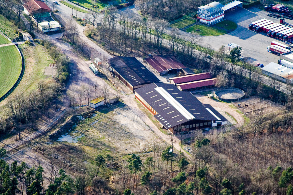 Luftbild: Renn- und Reitverein Herxheim eV in Herxheim bei Landau im Bundesland Rheinland-Pfalz in Deutschland. Foto: IMG_9941.jpg vom 29.03.2008 durch Werner Riehm/FLY-FOTO.de