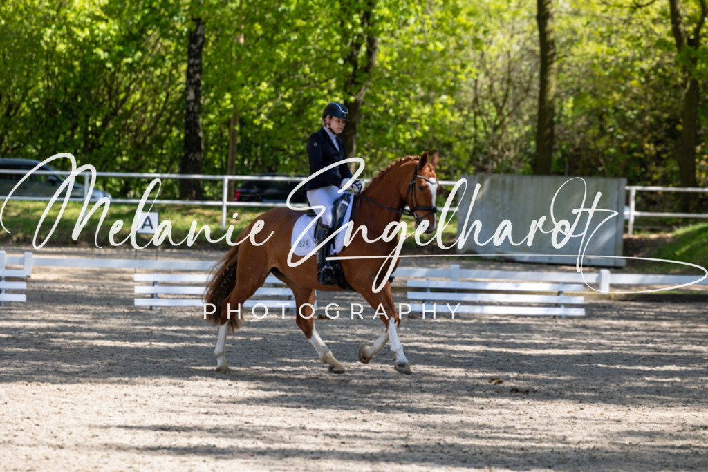 7I8A4902 | melanie-engelhardt-photography - Realisiert mit Pictrs.com
