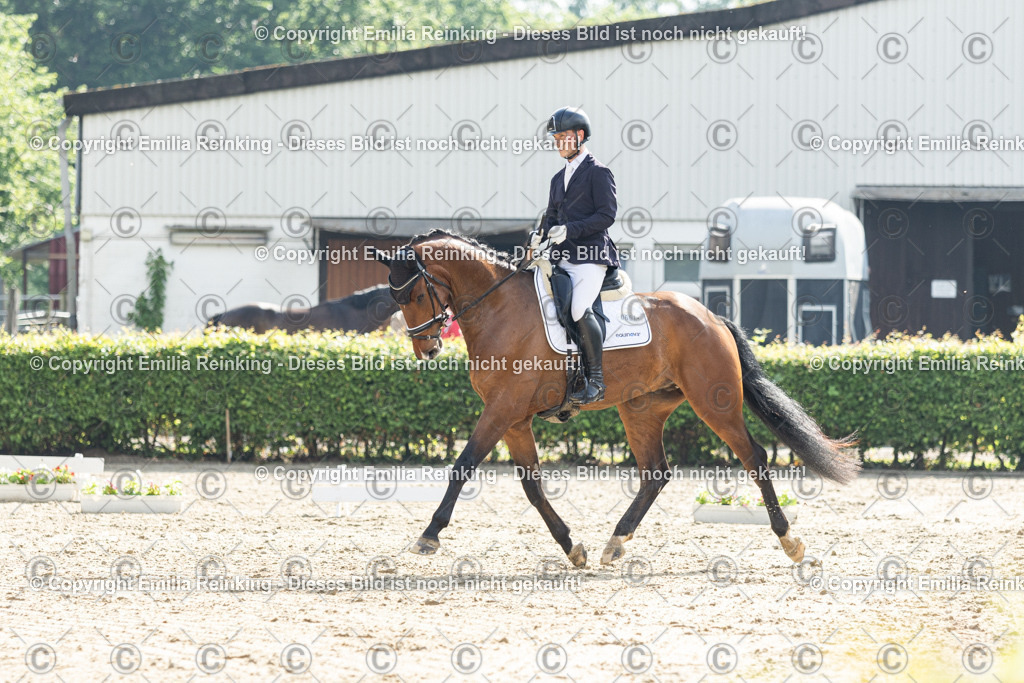 CL5A4161 | Emilia Reinking Fotografie - Realisiert mit Pictrs.com