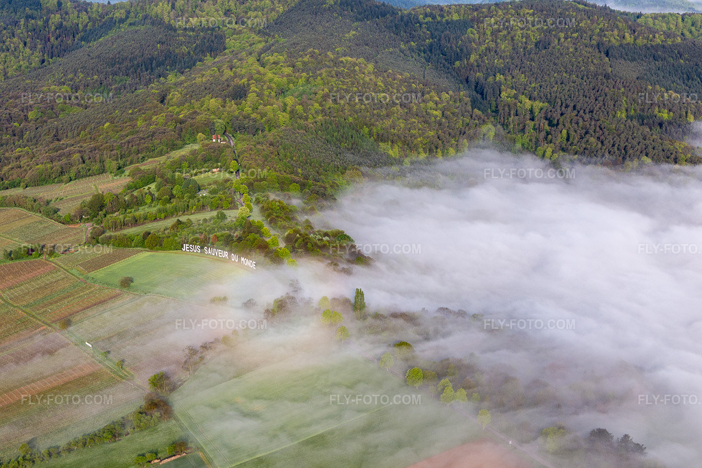 Aerial view: Jesus Saveur du Monde, Hannesacker in Rott in the state Bas-Rhin, France.Photo: IMG_113792.jpg taken on 04/29/2019 by Werner Riehm/FLY-FOTO.comResolution of the original: 5472 x 3648 px