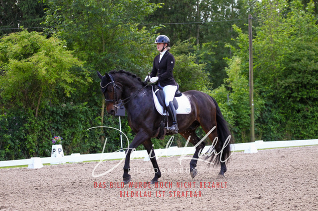 DKP41147 | Turnierfotos kaufen im Webshop von Daniel Kuhl Photography – entdecke professionelle Reitsportfotos aus Turnieren & Events. Hochwertige Turnierbilder online bestellen & sichern. Jetzt Fotos von Reitsportturnieren kaufen!