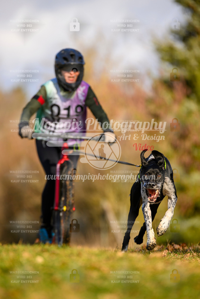 MompixPhotography_10Schwabentrail2026_SO_Scooter-17 | PayLife