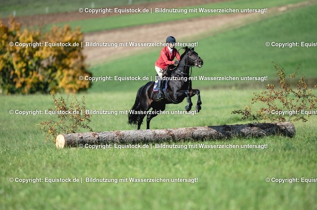 20251011_Jagd-Marbach_0217 | Foto: Thomas Hartig