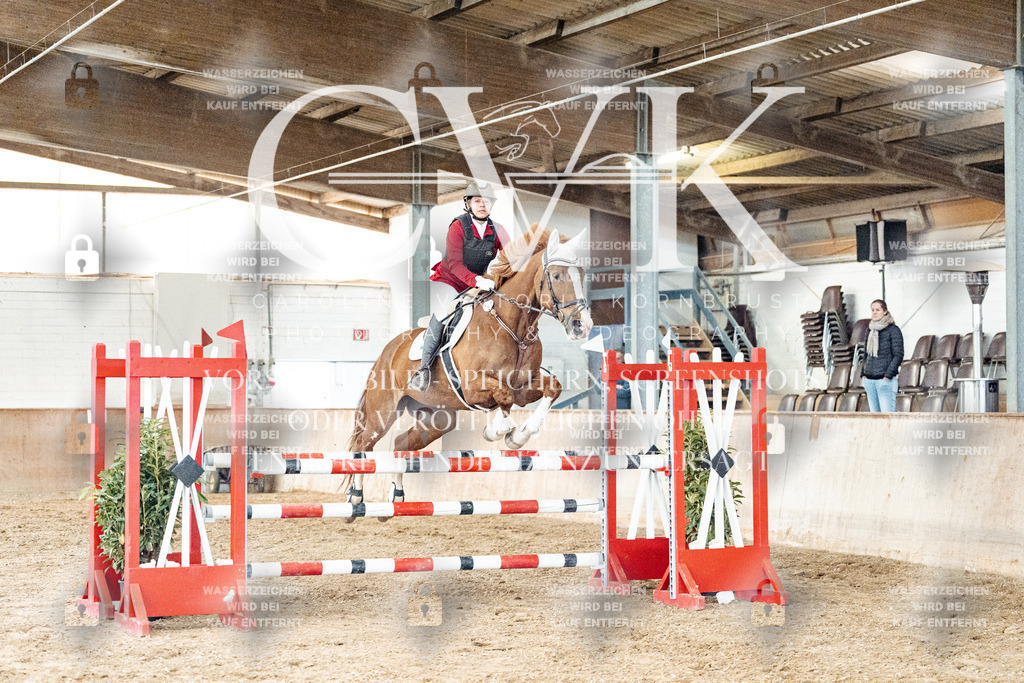 CK906305 | Turnierfotografie Pferdefotografie Trier Rheinland-Pfalz Pferdesport Reitsport Tierfotografie Sportfotografie Pferdevideo Pferdevideografie Equestrianvideography equestrianphotography  - Realisiert mit Pictrs.com