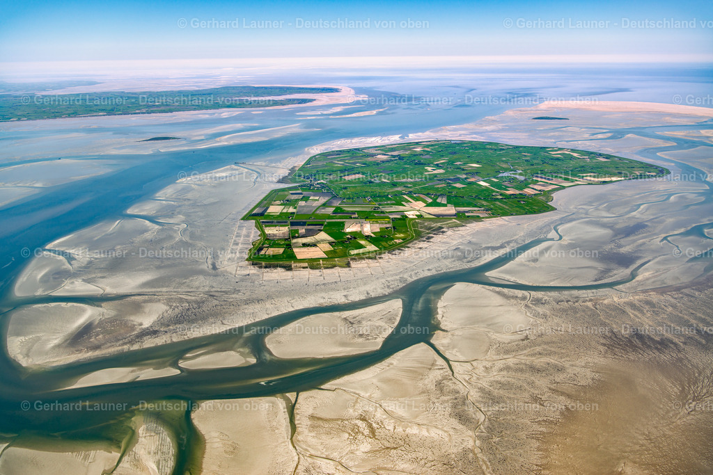 3801644 | Pellworm, Nationalpark Schleswig-Holsteinisches Wattenmeer