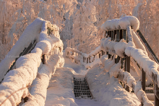 Verschneiter Steg im Winterlicht