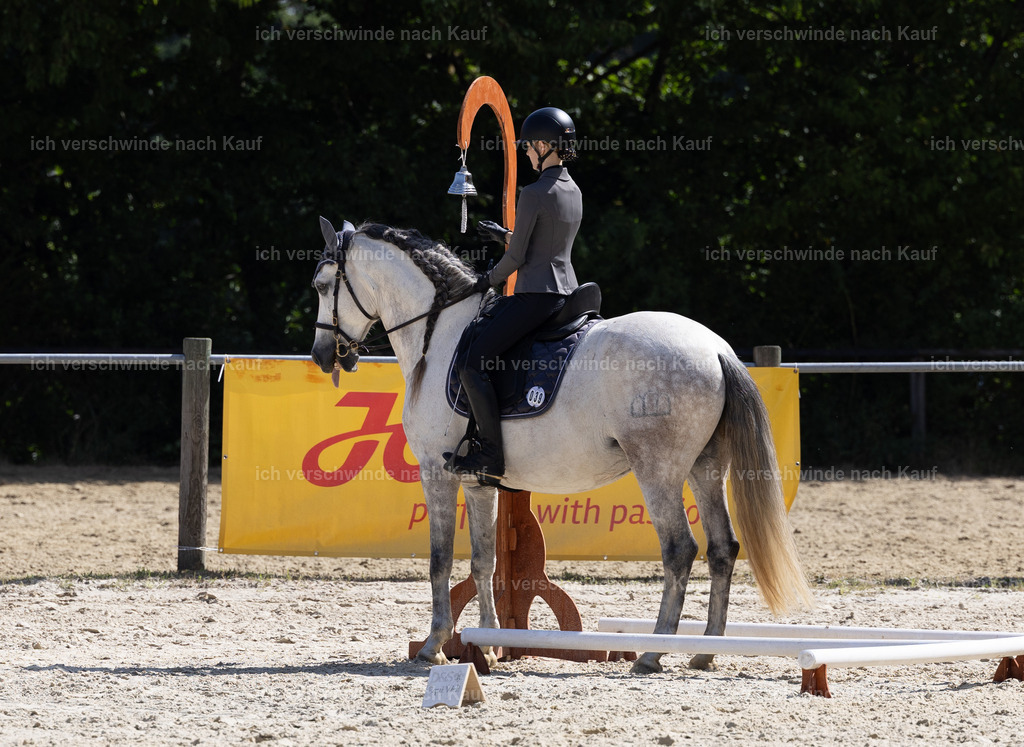 WA_Trail_39_KerstinBernhardt-8 | working equitationturnier fotograf videograf stoibphotography marixx film working equitation deutschland reitsport turnierfotografie eventfotografie equestrian events