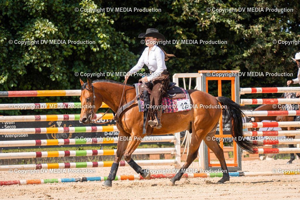 ZH100237 | dv-media-shop - Realisiert mit Pictrs.com