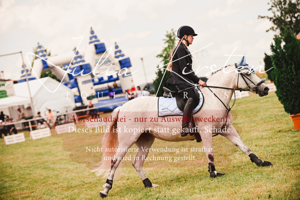 DSC_6960 | Pferde- und Turnierfotografie in Westsachsen. Pferdeportraits, Auftragszeichnungen und intuitive Kunst.