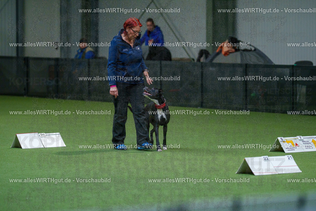 7R503270 | Professionelle Tierfotografie in Mönchengladbach von Daniel Wirth (allesWIRTHgut). Liebevolle & natürliche Bilder von Hunden & Katzen für unvergessliche Erinnerungen.