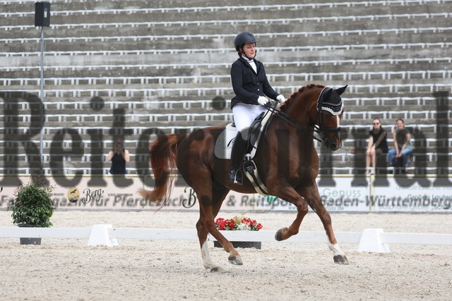 Marbach_2023_Prfg.Nr.11_Dressur_Kl.S_Amateure_Nadine Vennemann_Avellino 64 (8) | Alle Fotos der Reiterjournal Fotografin Doris Matthaes im Reiterjournal Online-Fotoshop. - Realisiert mit Pictrs.com