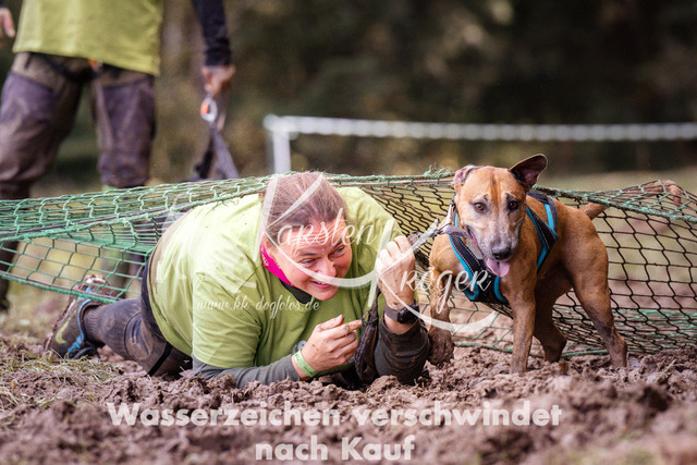 1346_ZZ91042 | kk-dogfotos