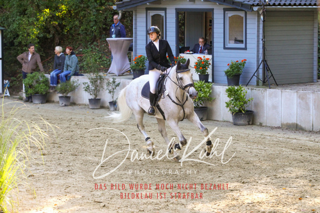 DKP42881 | Deine Turnierfotos vom Reitturnier online kaufen: Dressur, Springen & Siegerehrung. Professionelle Pferdefotografie aus dem Rheinland – als Download & Print.Alternative: Turnierfotograf für den Pferdesport: Finde deine Fotos von Dressur- und Springturnier