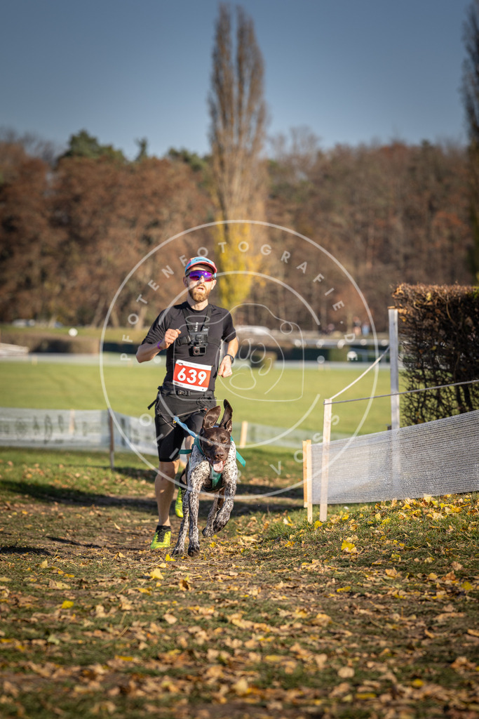 CaniXpix_DV3A0280 | Hundefotografie, Tierfotograf, Pfotenfotografie, Fotoshooting Hund, Hunde Portrait, Hundesport, Hundeportraits, Heideshooting, Hunde, Sportfotograf, Hundefotograf, Turnierhundsport, THS,  - Realisiert mit Pictrs.com