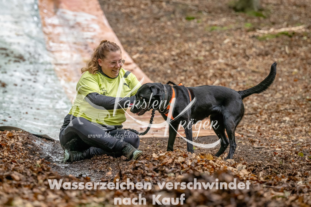 1111_ZZ90162-Bearbeitet | kk-dogfotos