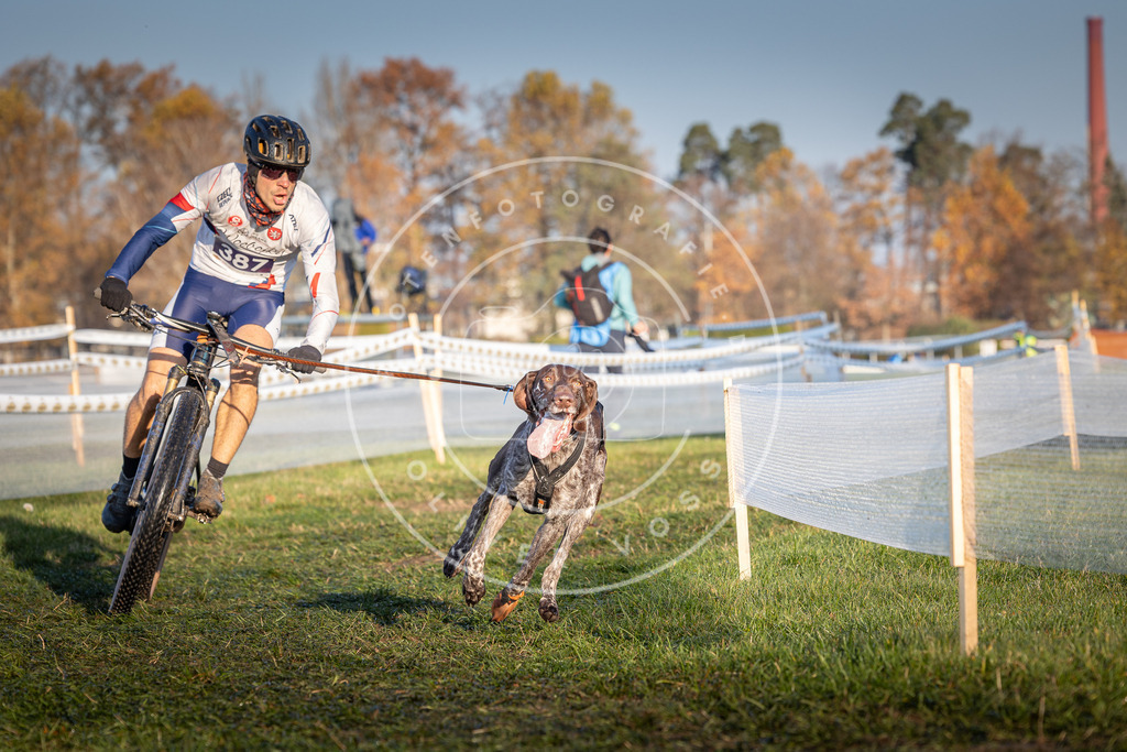 CaniXpix_0L8A3809 | Hundefotografie, Tierfotograf, Pfotenfotografie, Fotoshooting Hund, Hunde Portrait, Hundesport, Hundeportraits, Heideshooting, Hunde, Sportfotograf, Hundefotograf, Turnierhundsport, THS,  - Realisiert mit Pictrs.com