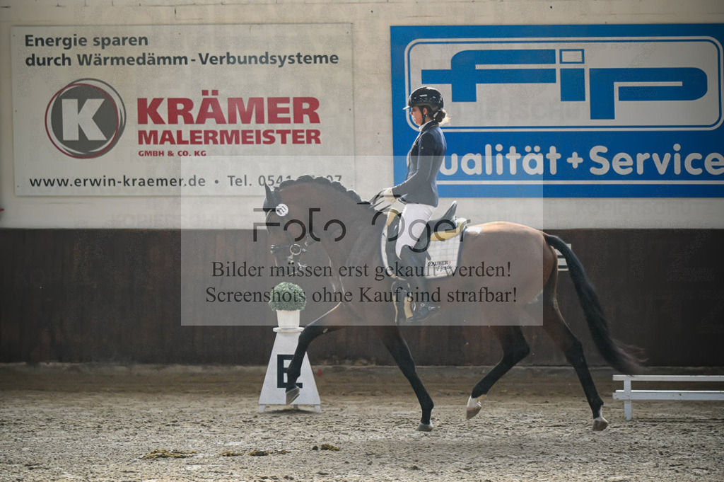 Reitturnier Voxtrup | Entdecke hochwertige Reitturnierfotos von Foto Oger. Professionell, emotional und authentisch – jetzt Lieblingsmomente im Shop bestellen.Deutschlandweite Turnierfotografie. - Realized with Pictrs.com