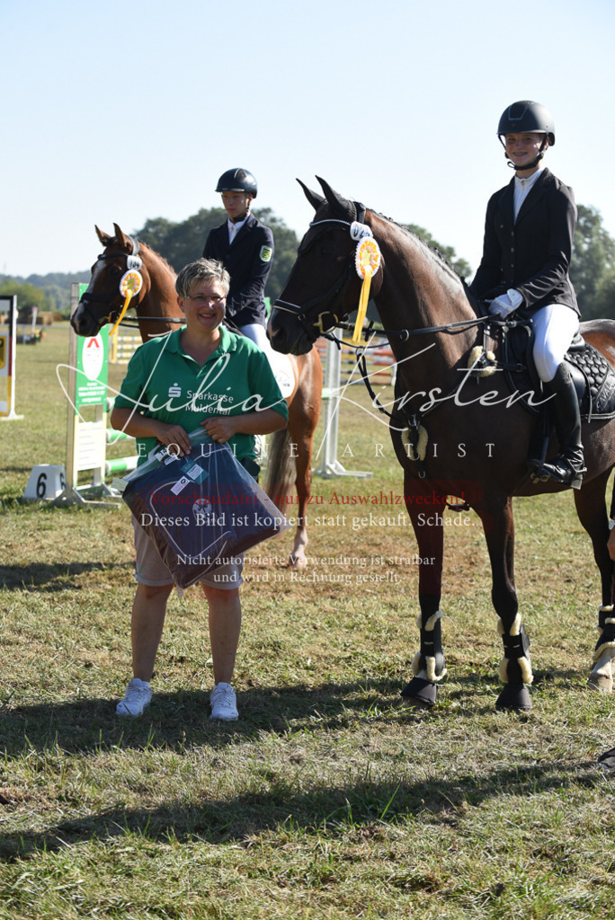 DSC_5438 | Pferde- und Turnierfotografie in Westsachsen. Pferdeportraits, Auftragszeichnungen und intuitive Kunst.
