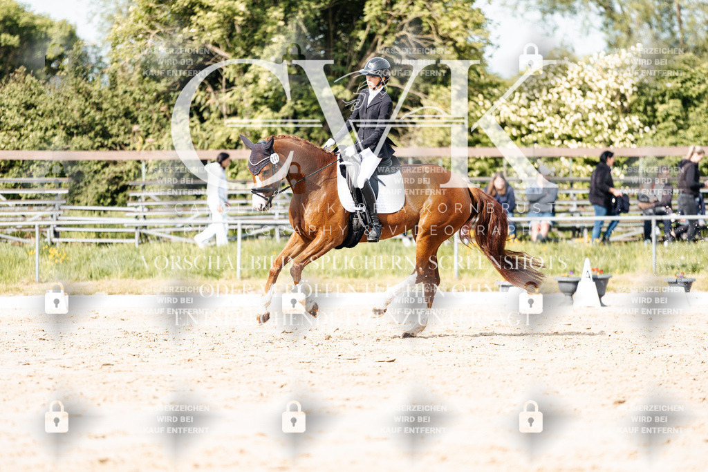 CK900342 | Turnierfotografie Pferdefotografie Trier Rheinland-Pfalz Pferdesport Reitsport Tierfotografie Sportfotografie Pferdevideo Pferdevideografie Equestrianvideography equestrianphotography  - Realisiert mit Pictrs.com