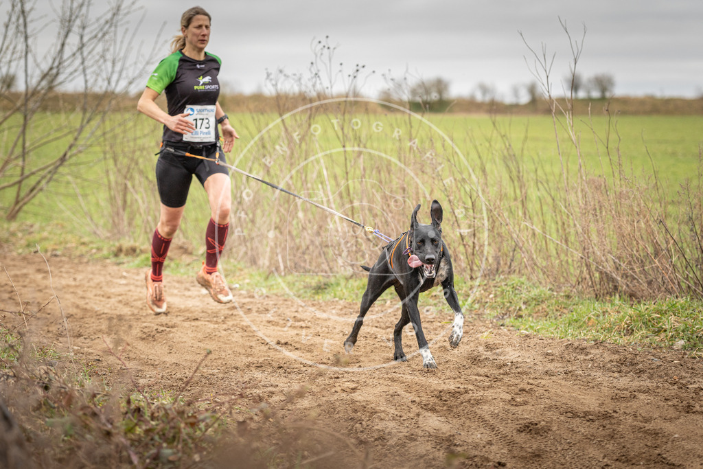 DV3A1991 | Hundefotografie, Tierfotograf, Pfotenfotografie, Fotoshooting Hund, Hunde Portrait, Hundesport, Hundeportraits, Heideshooting, Hunde, Sportfotograf, Hundefotograf, Turnierhundsport, THS,  - Realisiert mit Pictrs.com