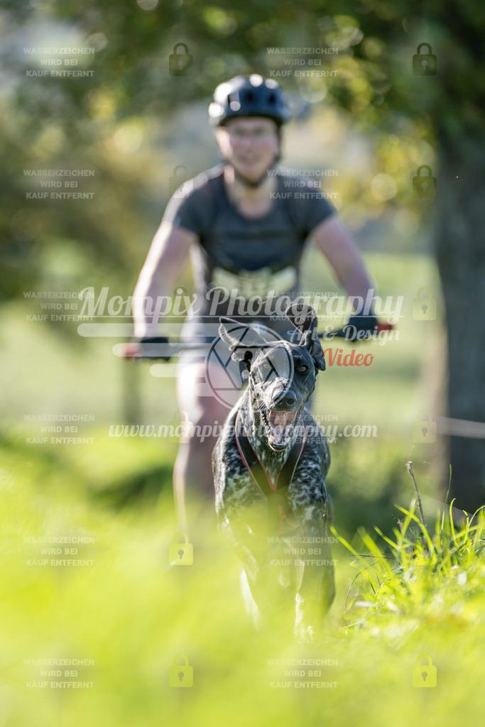 MompixPhotography_20TSB_E3_DS1-37 | PayLife