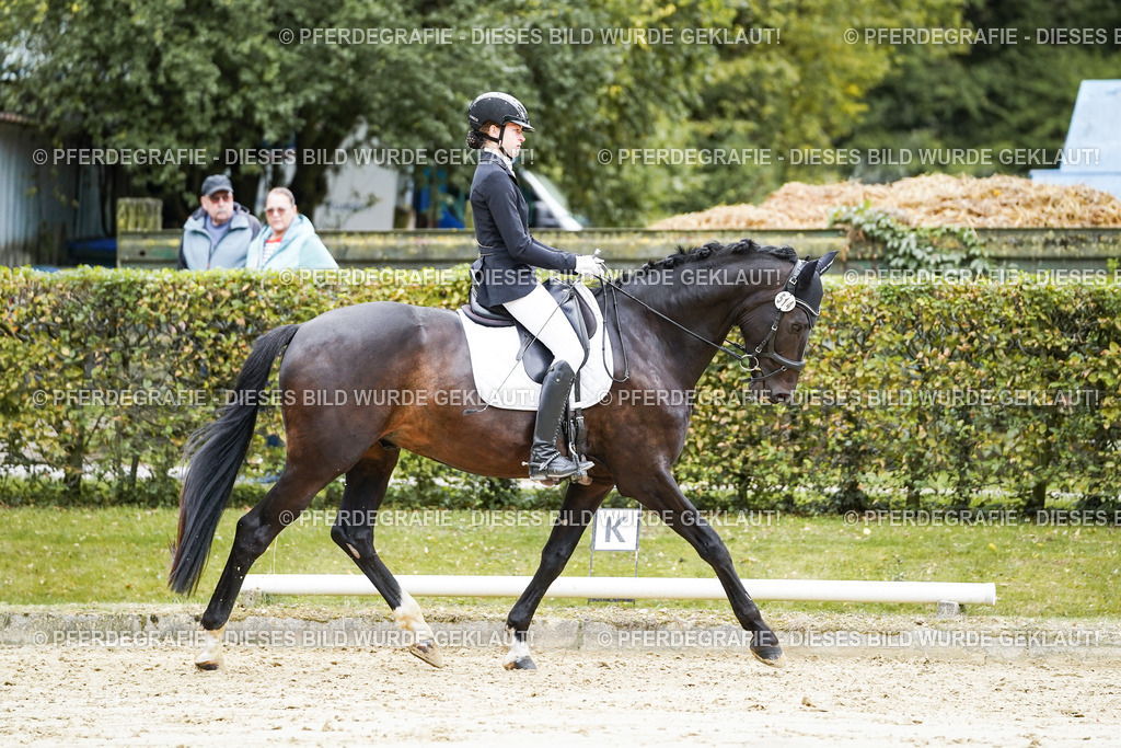 DSC07644 | Pferdegrafie