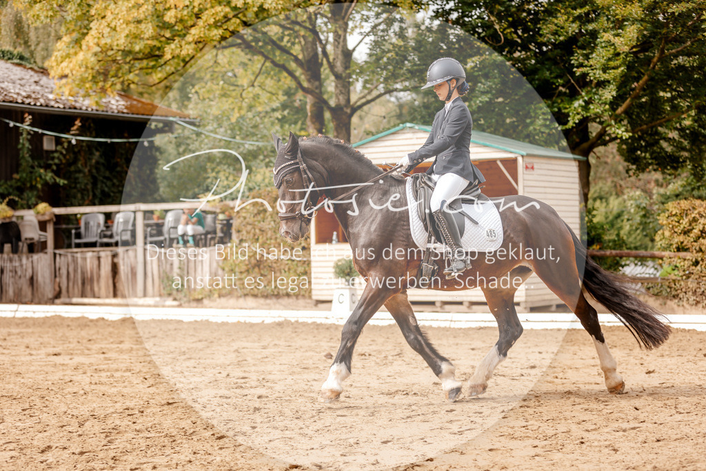 3I6A7493 | Stimmungsvolle Portraits und Reitsportfotografie im Ruhrgebiet und im Münsterland.

Pferdefotografie, Hundefotografie, Tierfotografie, Reportagen, Portraits von Tier und Mensch, Turnierfotografie in Bochum, Recklinghausen, Marl, Haltern am See, Dülmen.. - Realisiert mit Pictrs.com