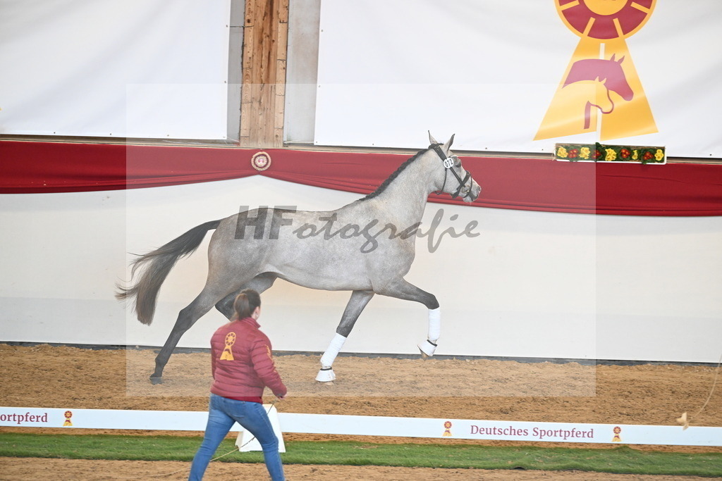 Kat.-Nr. 72 v. Johnson_Lehner_2250623 | hf-fotografie - Realisiert mit Pictrs.com