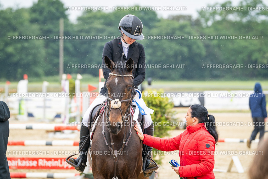 DSC00986 | Pferdegrafie