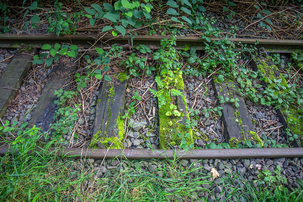 Museumsfeldbahn Lindenau | Entdecke über 20 Kategorien Leipzig-Motive: Foto-Downloads, hochwertige Poster, Leinwand- & Fine-Art-Prints. Jetzt Lieblingsfoto im Bildlexikon Leipzig Shop bestellen!