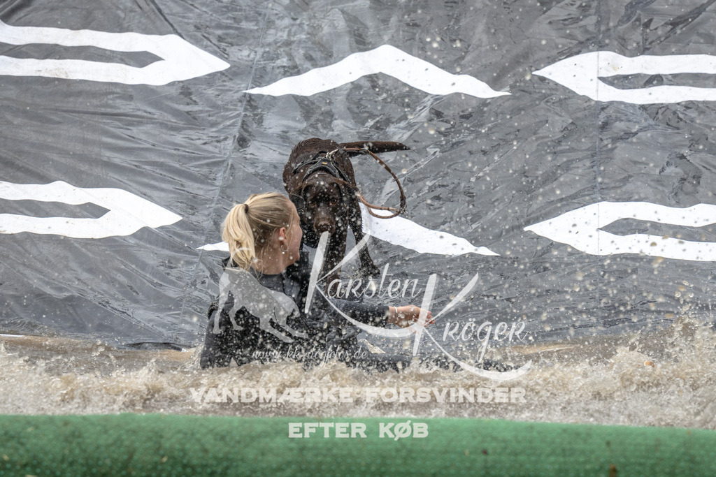 1559_ZZ91842 | kk-dogfotos