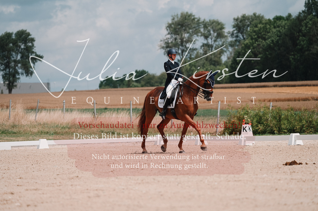 DSC_4207 | Pferde- und Turnierfotografie in Westsachsen. Pferdeportraits, Auftragszeichnungen und intuitive Kunst.