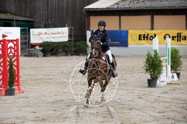 2B4A1502 | pixelfaenger - Realisiert mit Pictrs.com