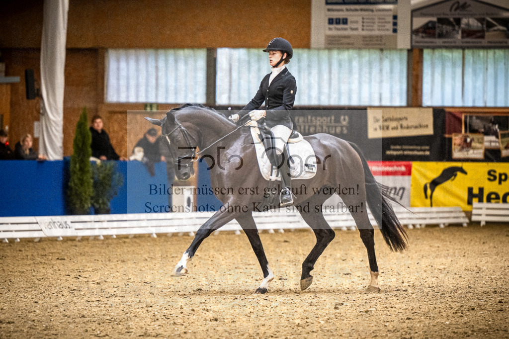 DOS_1040 | Entdecke hochwertige Reitturnierfotos von Foto Oger. Professionell, emotional und authentisch – jetzt Lieblingsmomente im Shop bestellen.Deutschlandweite Turnierfotografie. - Realisiert mit Pictrs.com