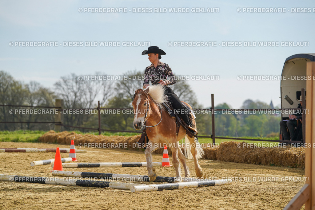 DSC01730 | Pferdegrafie