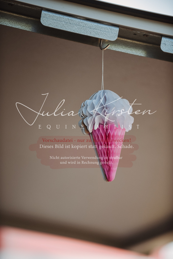 DSC_3390 | Pferde- und Turnierfotografie in Westsachsen. Pferdeportraits, Auftragszeichnungen und intuitive Kunst.