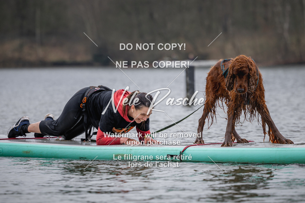 nelerasche_Hulsbeek_Sa1430-1515_521 | nelerasche