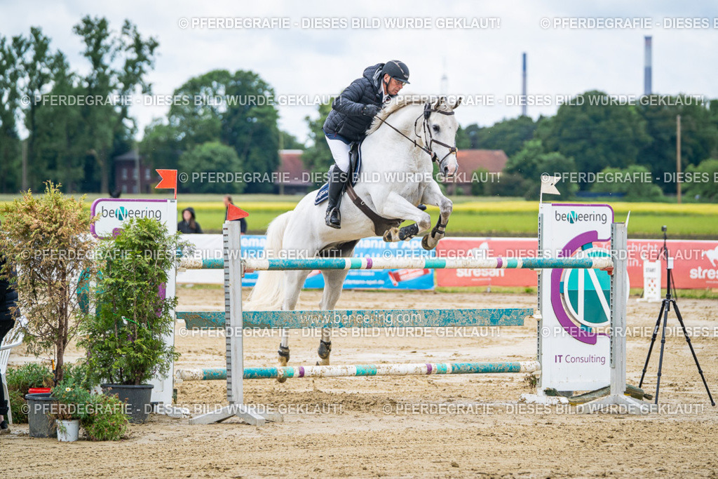 DSC04644 | Pferdegrafie