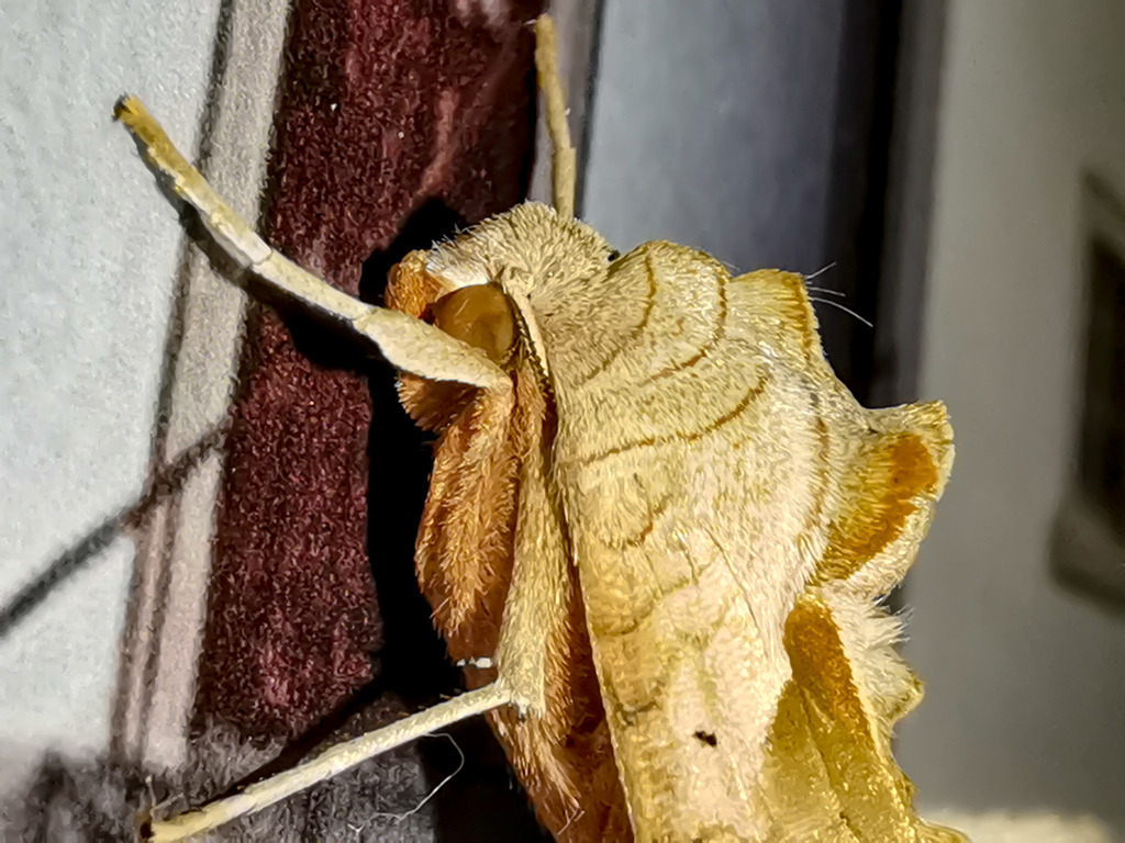 PSX_20230901_234841 | mtkfoto_ - Realisiert mit Pictrs.com