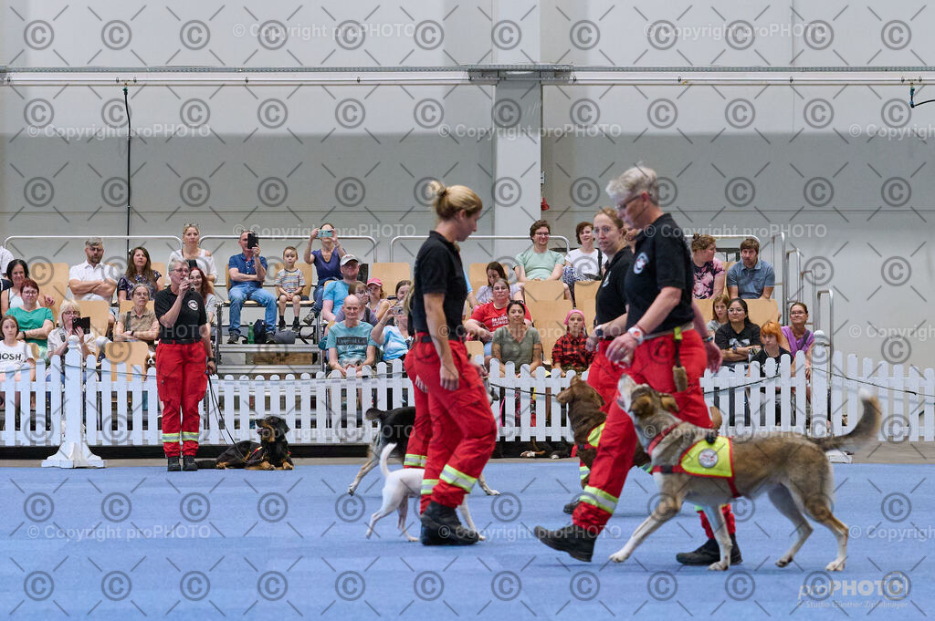 202406_ÖKV-IHA-Tulln24_DSC_3428 | proPHOTO - Realisiert mit Pictrs.com