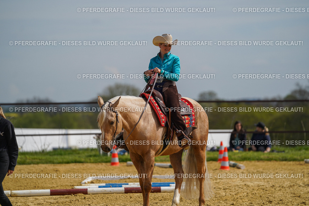 DSC04223 | Pferdegrafie