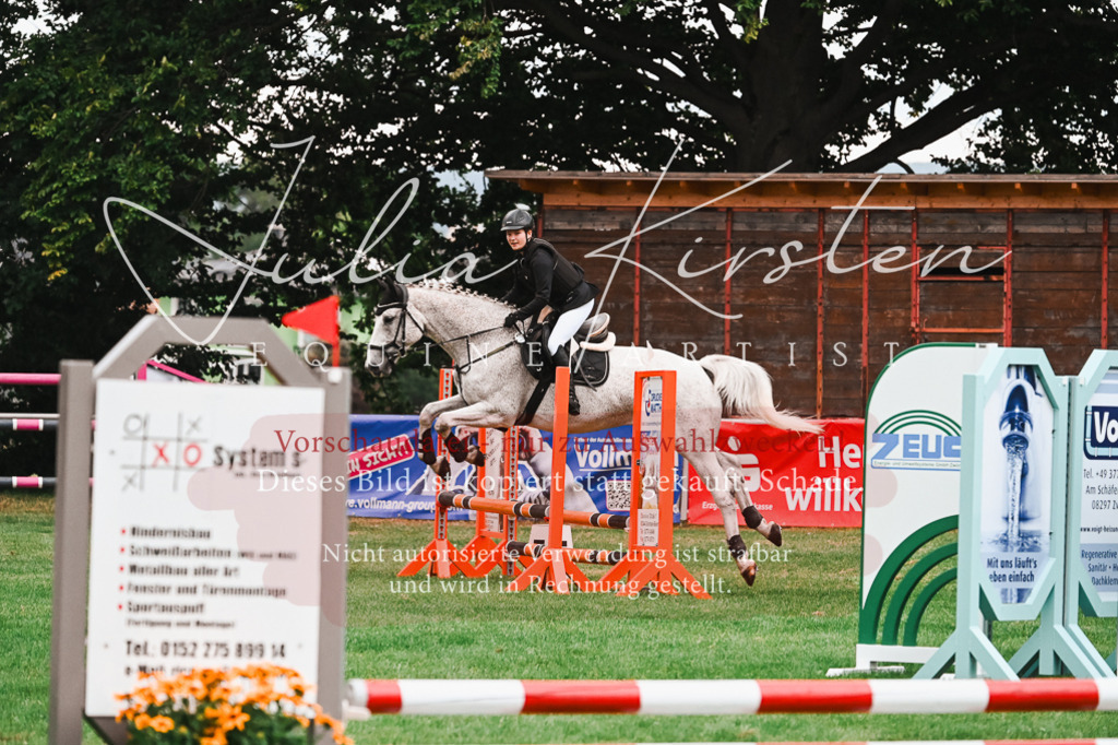 DSC_6064 | Pferde- und Turnierfotografie in Westsachsen. Pferdeportraits, Auftragszeichnungen und intuitive Kunst.