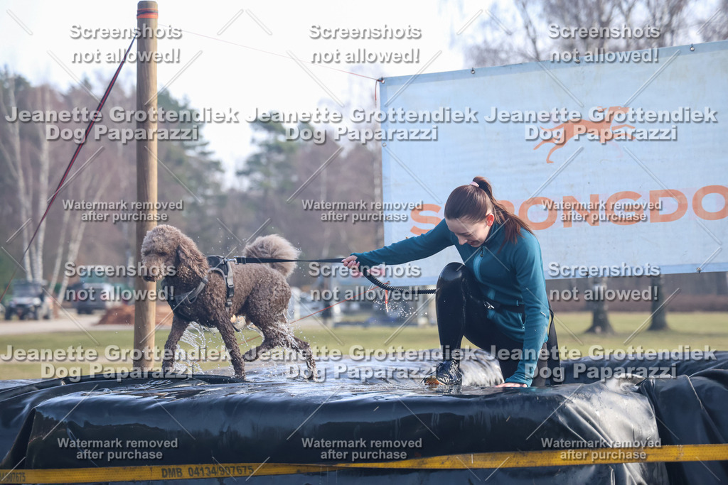 Dog Paparazzi - Strongdog North Mrz26-622 | Dog Paparazzi Jeanette Grottendiek Fotografie & Videografie - Realisiert mit Pictrs.com